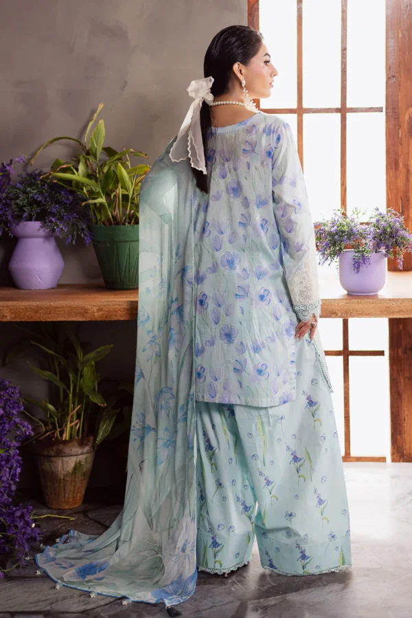 DD - 3 | 3 PC Lawn - Image 3