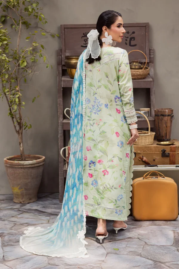 DD - 5 | 3 PC Lawn - Image 3